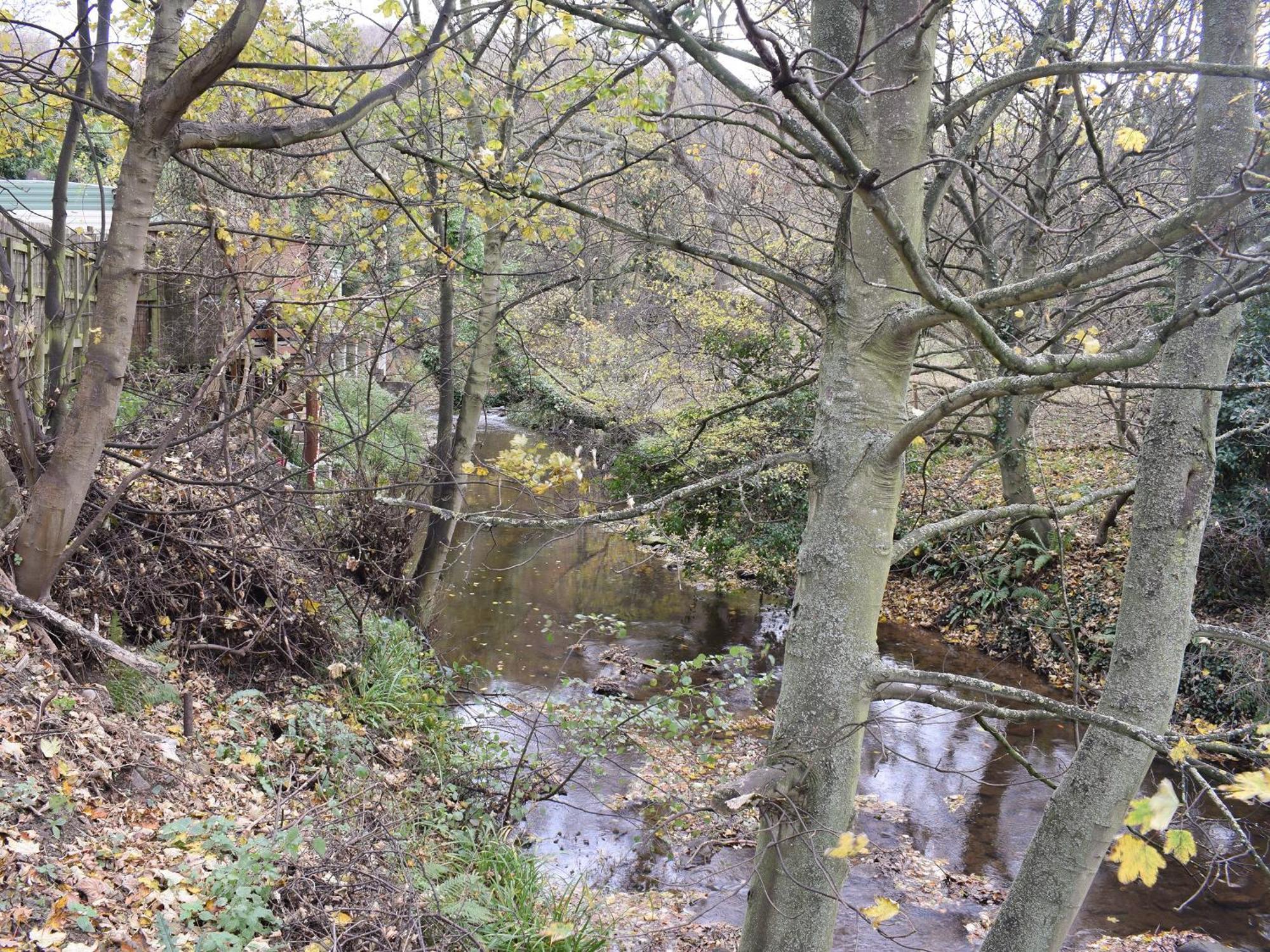 Pheasant Lodge Staithes Dış mekan fotoğraf