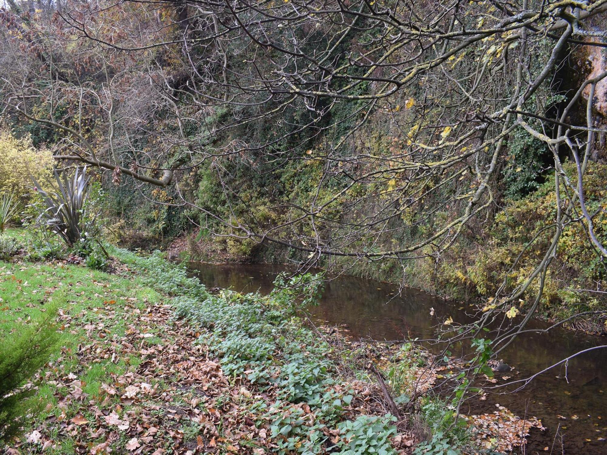 Pheasant Lodge Staithes Dış mekan fotoğraf